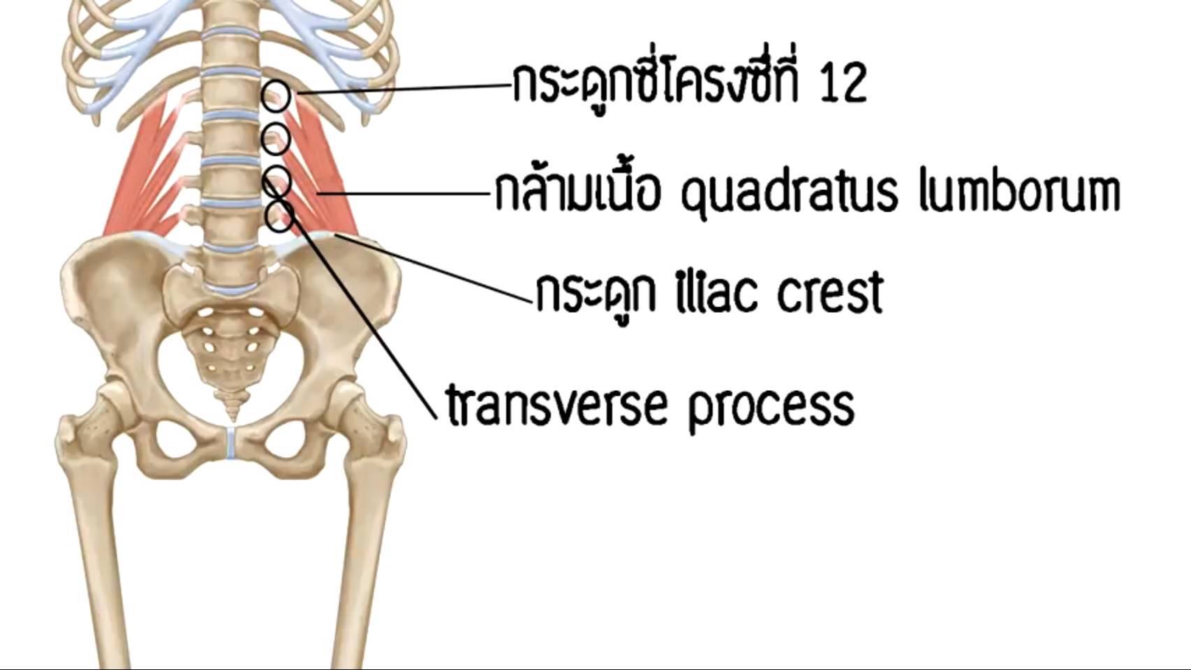 ปวดเอวลึกๆ เป็นอะไรกันแน่ !?