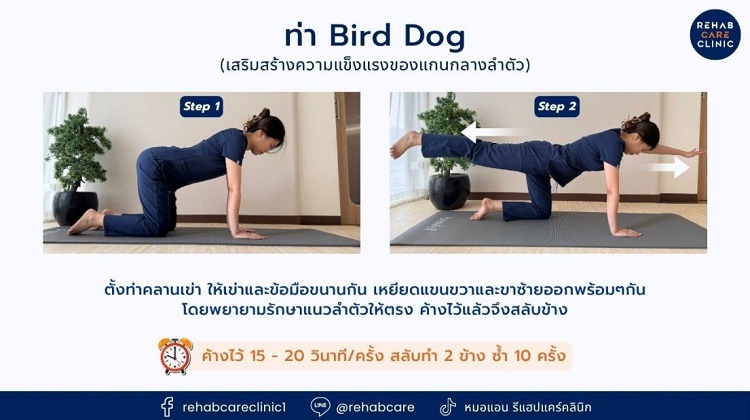 ท่า Bird -dog